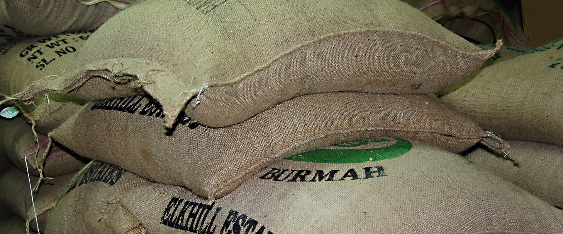 pioneer espresso