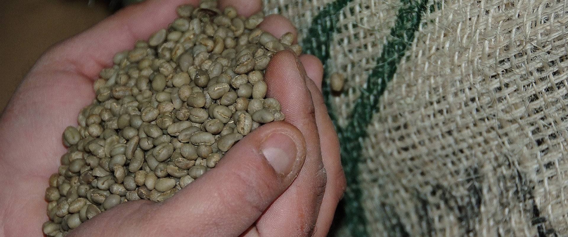 pioneer espresso