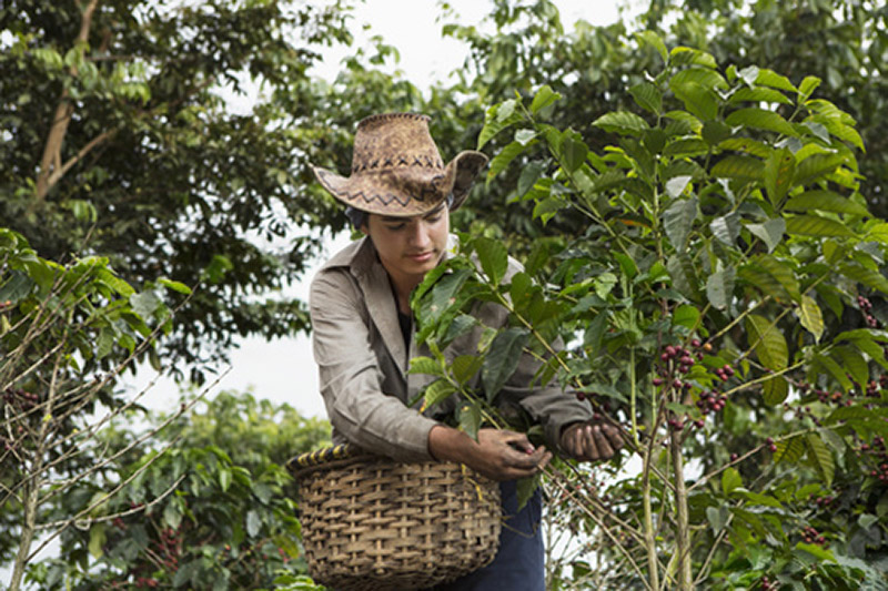 Εταιρική Κοινωνική Ευθύνη