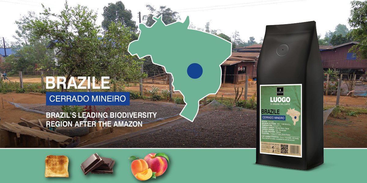 25_164_Giorgio_Pietri_Website_Luogo_BRAZILE_CERRADO MINEIRO